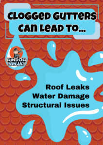 clogged gutters can lead to... infographic