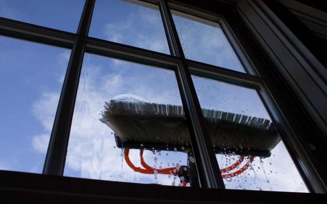 everything to know about window cleaning professional