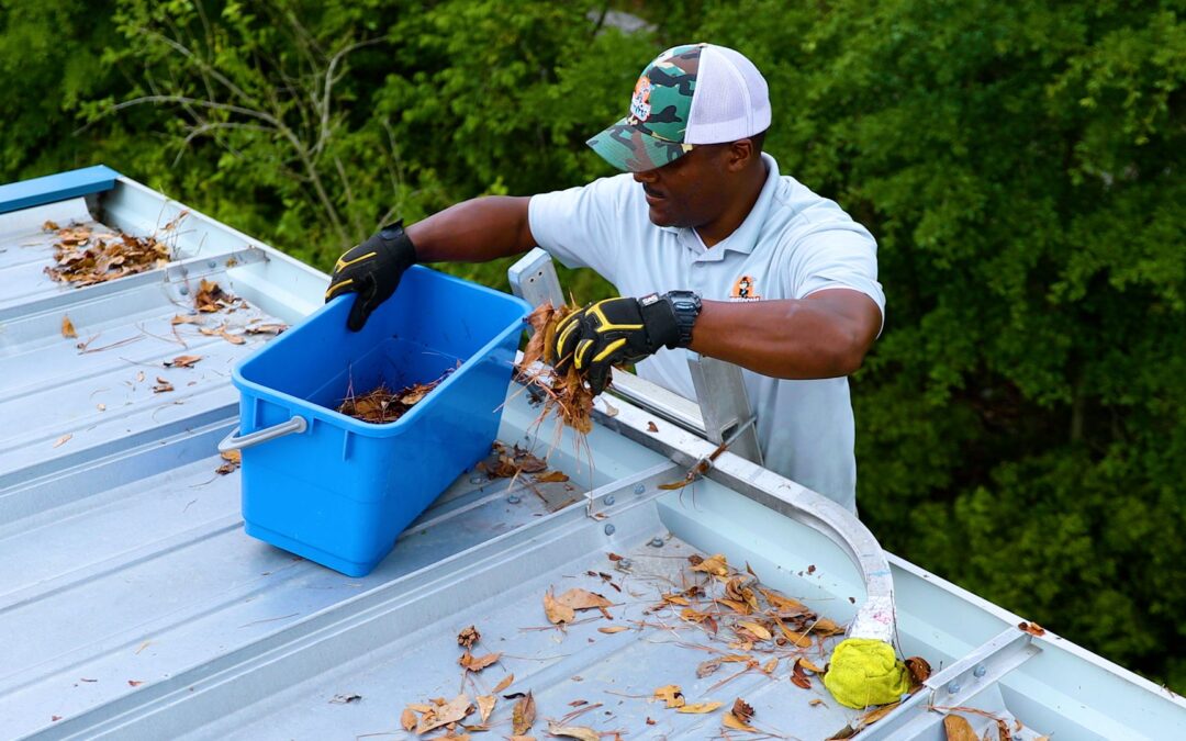gutter cleaning service professionals