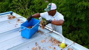 gutter cleaning service professionals